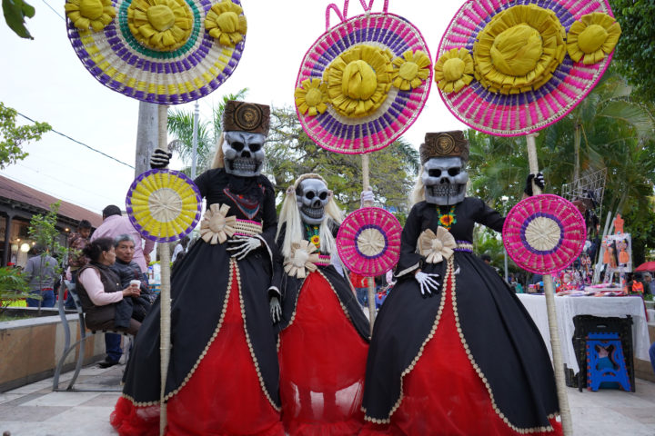 Danza Del Tigrillo Tantoyuca La Huasteca Veracruzana