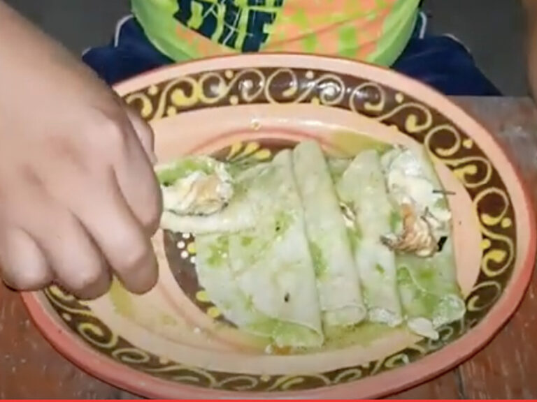 Enchiladas verdes de la huasteca